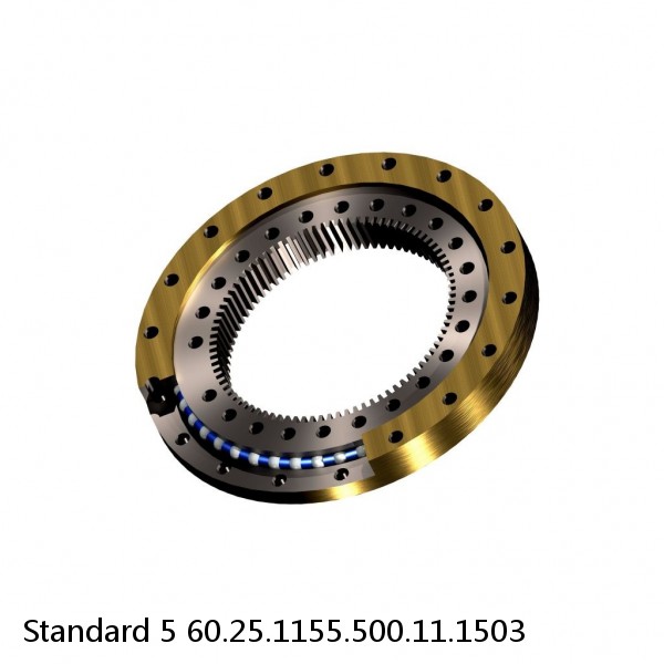 60.25.1155.500.11.1503 Standard 5 Slewing Ring Bearings