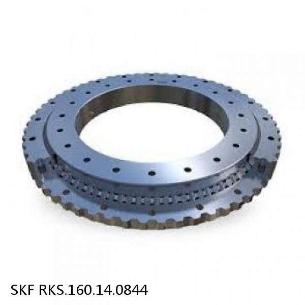 RKS.160.14.0844 SKF Slewing Ring Bearings #1 small image