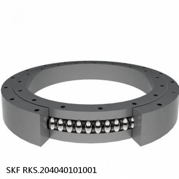 RKS.204040101001 SKF Slewing Ring Bearings