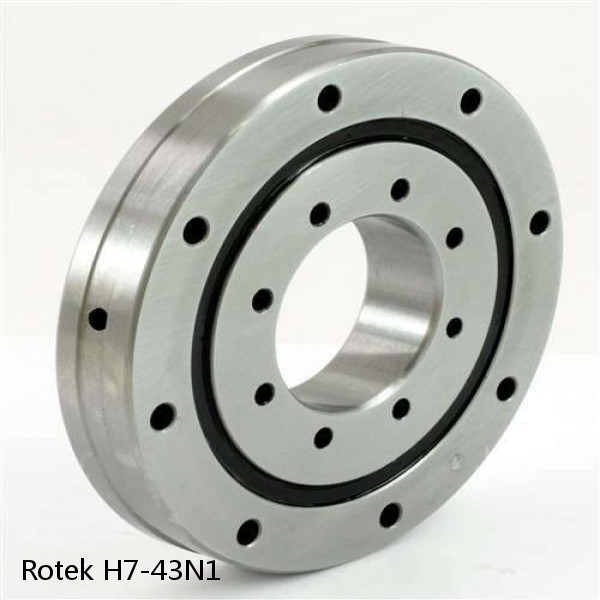 H7-43N1 Rotek Slewing Ring Bearings #1 small image