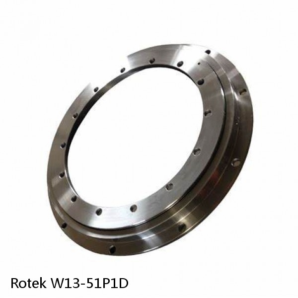 W13-51P1D Rotek Slewing Ring Bearings #1 small image