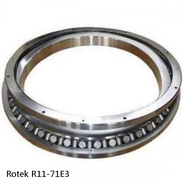 R11-71E3 Rotek Slewing Ring Bearings #1 small image