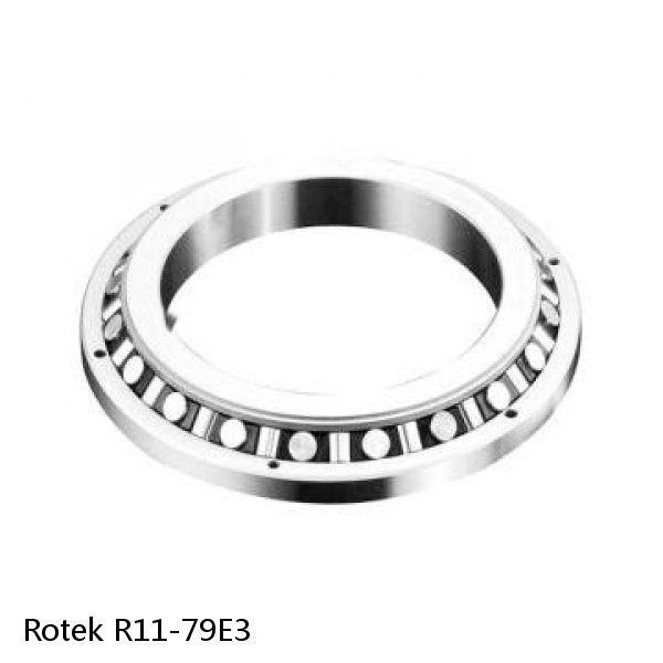R11-79E3 Rotek Slewing Ring Bearings #1 small image