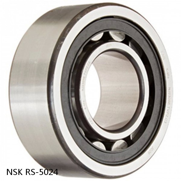 RS-5024 NSK CYLINDRICAL ROLLER BEARING #1 small image