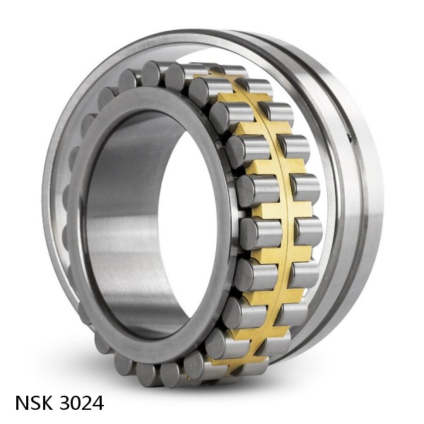 3024 NSK CYLINDRICAL ROLLER BEARING #1 small image