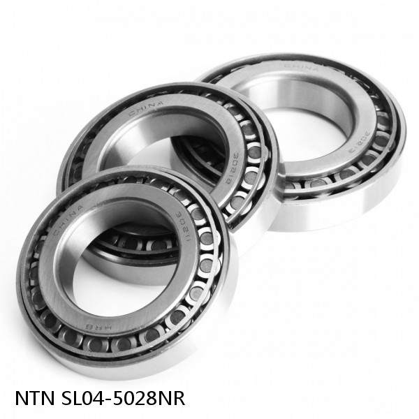 SL04-5028NR NTN Cylindrical Roller Bearing #1 small image