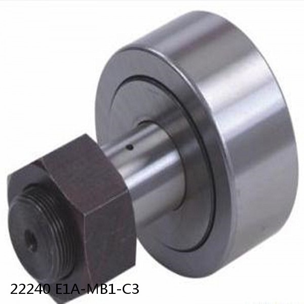 22240 E1A-MB1-C3      Needle Self Aligning Roller Bearings #1 small image