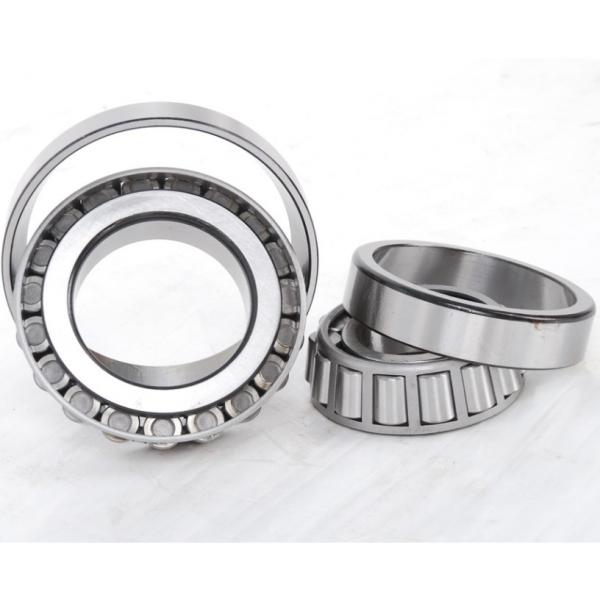 0.984 Inch | 25 Millimeter x 2.047 Inch | 52 Millimeter x 0.591 Inch | 15 Millimeter  CONSOLIDATED BEARING NJ-205E M C/3 Cylindrical Roller Bearings #3 image