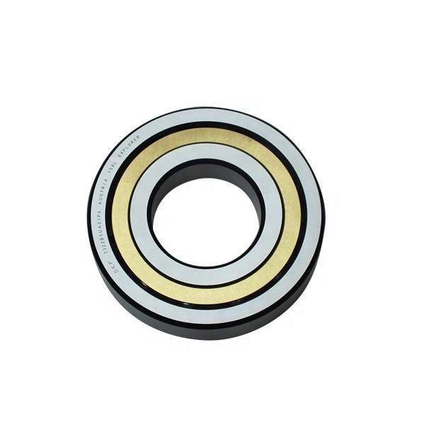 FAG NJ218-E-M1  Cylindrical Roller Bearings #2 image