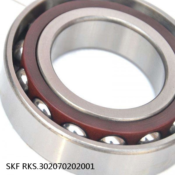 RKS.302070202001 SKF Slewing Ring Bearings #1 image