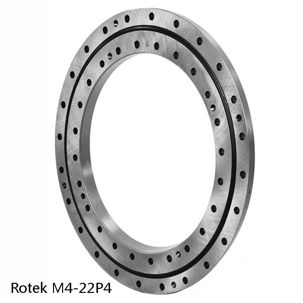 M4-22P4 Rotek Slewing Ring Bearings #1 image