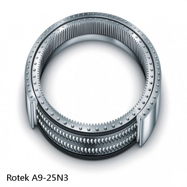 A9-25N3 Rotek Slewing Ring Bearings #1 image