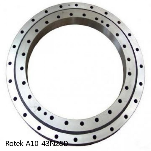 A10-43N28D Rotek Slewing Ring Bearings #1 image