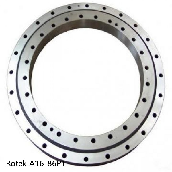 A16-86P1 Rotek Slewing Ring Bearings #1 image