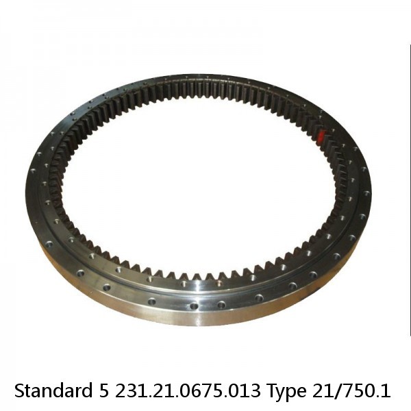 231.21.0675.013 Type 21/750.1 Standard 5 Slewing Ring Bearings #1 image