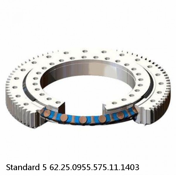 62.25.0955.575.11.1403 Standard 5 Slewing Ring Bearings #1 image