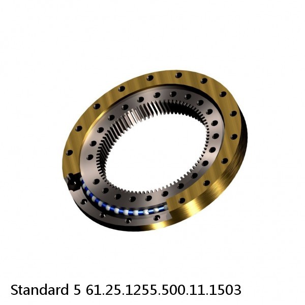 61.25.1255.500.11.1503 Standard 5 Slewing Ring Bearings #1 image
