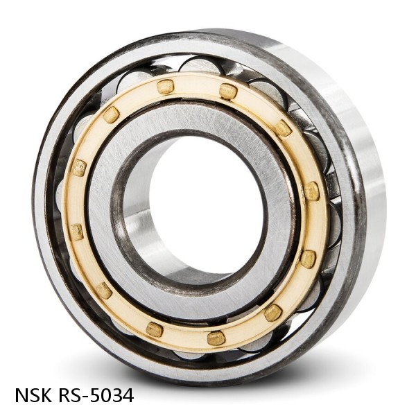 RS-5034 NSK CYLINDRICAL ROLLER BEARING #1 image