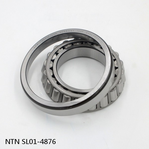 SL01-4876 NTN Cylindrical Roller Bearing #1 image