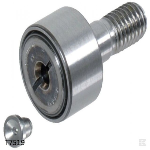 T7519 Needle Self Aligning Roller Bearings #1 image