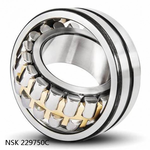 229750C NSK Railway Rolling Spherical Roller Bearings #1 image